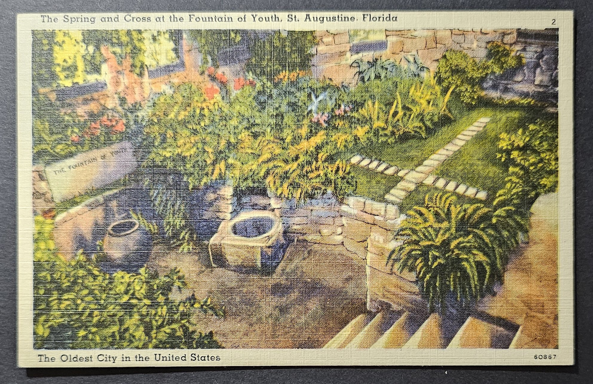 (image for) postcard USA - FL - Florida #0047